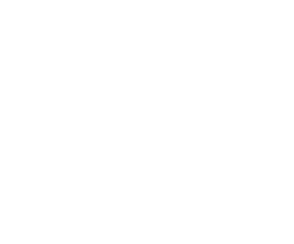 Logo: Achim Post